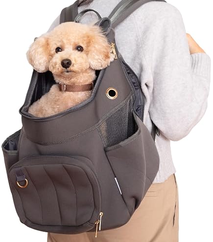 Amazon.co.jp: ライフライク 2WAY バックパックキャリー 63R002