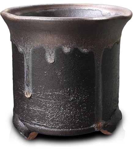 Amazon.co.jp: 有田焼 古伊万里金彩 8号鉄鉢 : DIY・工具・ガーデン