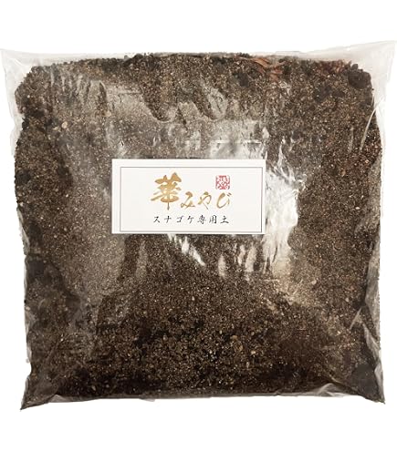 Amazon.co.jp: スナゴケ (砂苔) マット 58cm×28cm 10枚セット 苔