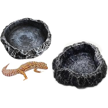 Amazon.co.jp 売れ筋ランキング: 爬虫類・両生類用餌入れ・ボウル の中