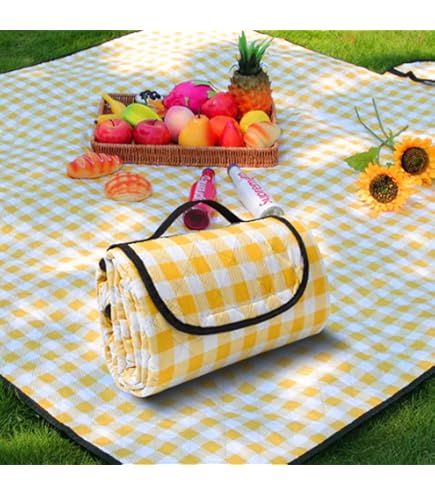 限定ピクニックシート 71xAxL0EYML._AC_UF350,