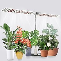 711MD8vZICL._AC_UL210_SR210,