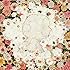Flowerwall(初回限定盤)
