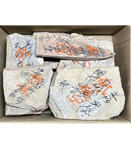 天然砥石 京都 1,4kg 正本山合砥青巣板 硬質 仕上げ砥石 包丁 鉋 Amazon | 天然砥石 山城銘砥 原石粗石 奥殿巣板祭り 中山 大突 菖蒲谷