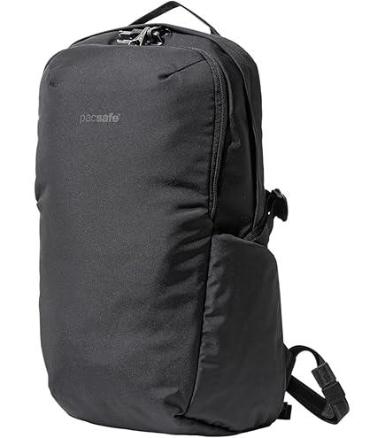 Amazon.co.jp: Pacsafeの盗難防止用バックパックとバッグプロテクター