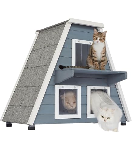 Amazon | 冬用の屋外キャットハウス、猫 ハウス、外猫ハウス 屋外用