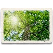 Amazon.co.jp: Natural Memories 玄関に飾ると運気が上がる絵画 和紙の