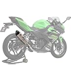 Amazon | Realize (リアライズ) カワサキ ニンジャ250SL (JBK-BX250A