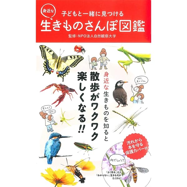 Amazon.co.jp: 自然観察 (学研の図鑑 新・ポケット版 16) : 今泉