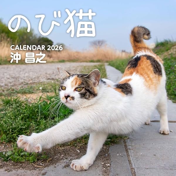 通常版】カレンダー2026 そとねこ mini（月めくり/卓上/128mm×182mm