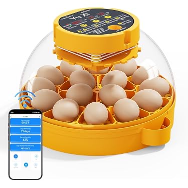Amazon.co.jp 売れ筋ランキング: 恒温器 の中で最も人気のある商品です
