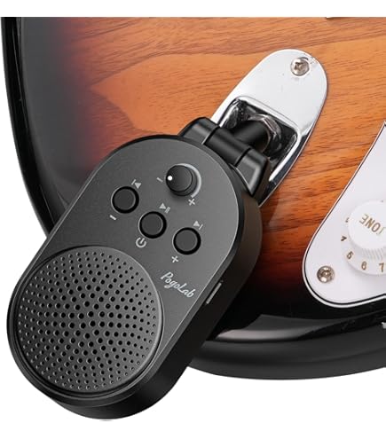 Amazon | AMT Electronics ギターチューブプリアンプシリーズ SS-20