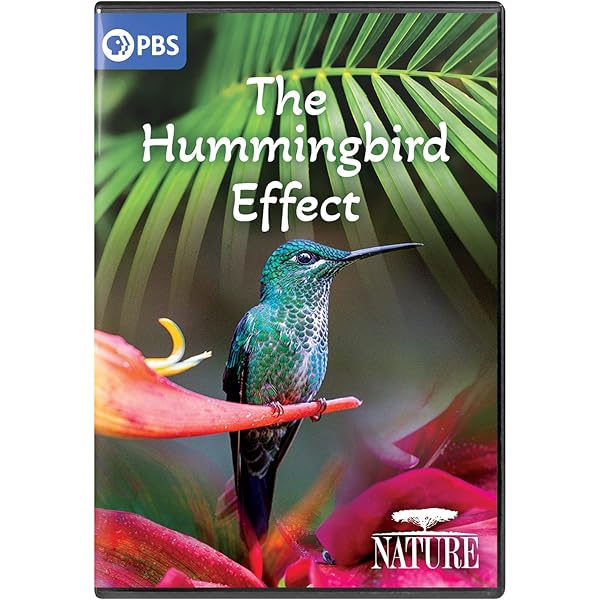 その他 Nature: Birds [DVD] Amazon.com: Follow That Bird (DVD) : Ken Kwapis, Tony Geiss