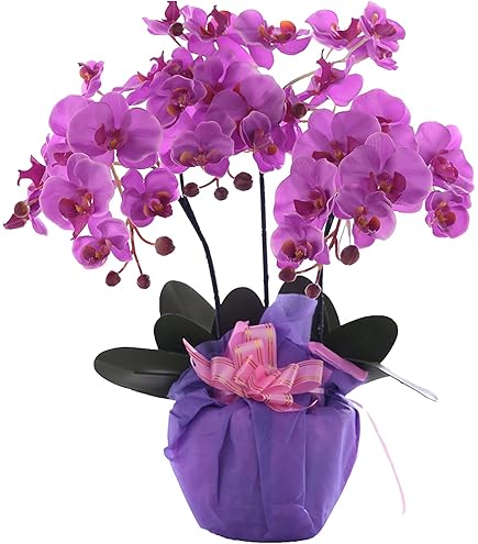 Amazon｜永光 光触媒 胡蝶蘭 イエロー｜造花 オンライン通販