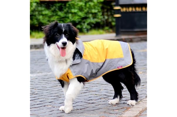 Dog Raincoat Hamburg Red 犬 ハンブルク 犬用レインコート ブリックレッド レインコート Cloud7 Size 8 Brick クラウド7 Dog Raincoat Hamburg Red 犬 ハンブルク 犬用レインコート ブリックレッド レインコート Cloud7 Size 8 Brick クラウド7