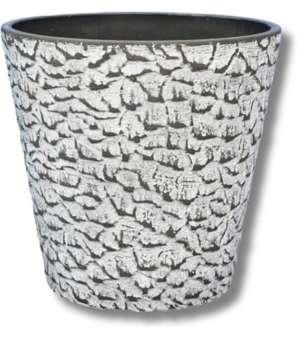 Amazon | 大橋新治商店 Wood Planter ウッドプランター D6号 63-036