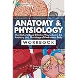 Anatomy & Physiology: The Best and Most Effective Way to Learn the Anatomy and Physiology of the Human Body: Workbook