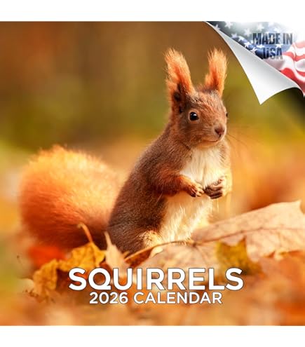 Amazon | Chipmunk カレンダー 2025年 マンスリー 壁掛け