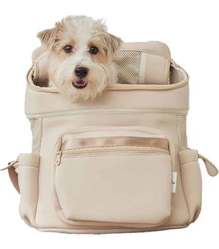 Amazon.co.jp: ジェラートピケ CAT&DOG ミニサイズキャリーバッグ