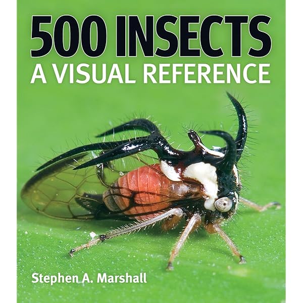 Amazon.co.jp: The Insects: Structure and Function : Chapman, R. F.