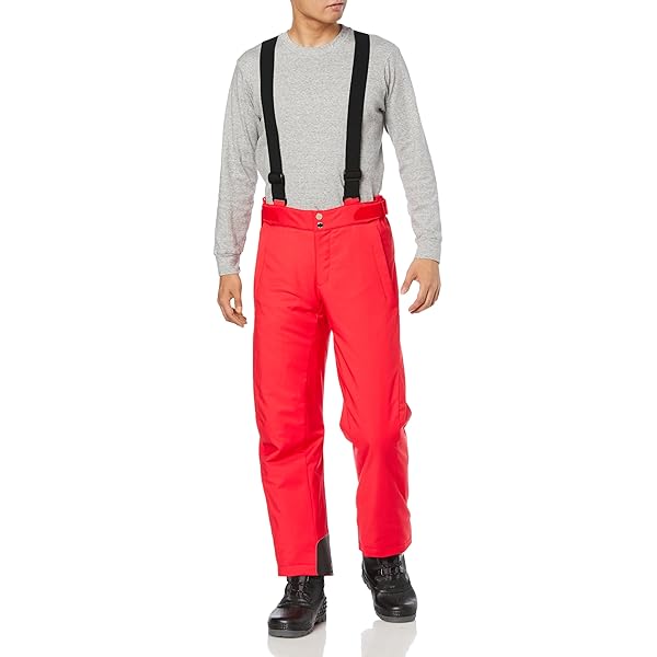 DESCENTE〔デサント スキーパンツ〕 スキーウェア スキーパンツ デサント パンツ DESCENTE メンズ