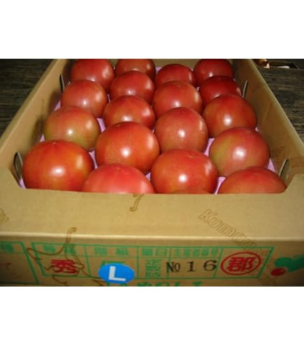 トマト 4kg 熊本トマト 産地 熊本県産 トマト 4Kg 業務仕入・見積なら食品