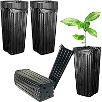 711xi5GdFFL._AC_UL210_SR210,