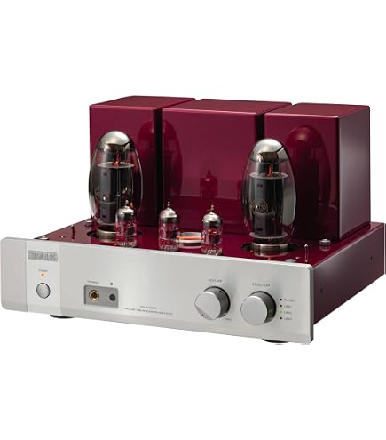 Amazon | TRIODE プリメインアンプ TRV-A300XR WE300B仕様