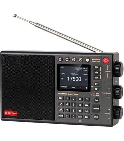 Amazon.co.jp: Grace LinkインターネットラジオとChromecast内蔵