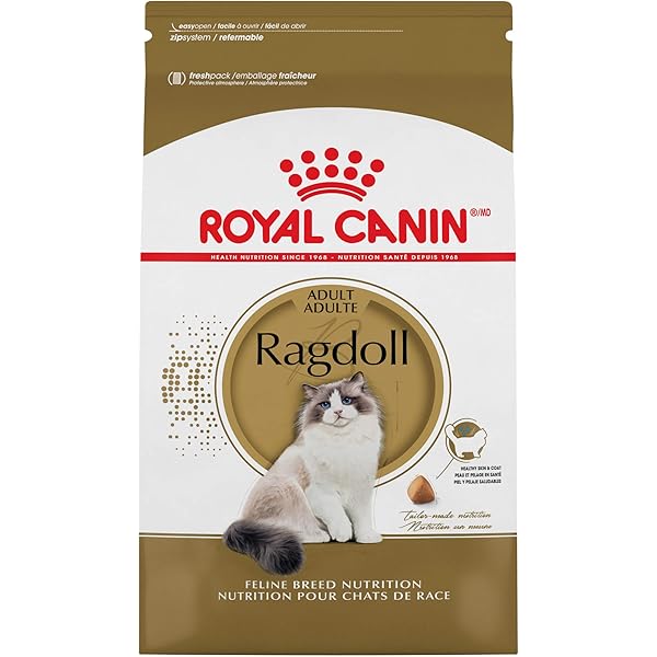 Royal Canin Digestive Care Dry Cat Food 6 Pounds Bag Amazon Sg Pet Supplies