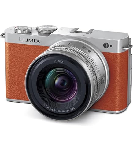 Amazon | パナソニック デジタルカメラ LUMIX (ルミックス) FP8 