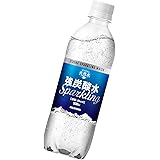 アイリスオーヤマ 炭酸水 5.0 プレーン 強炭酸水 500ml ×24本