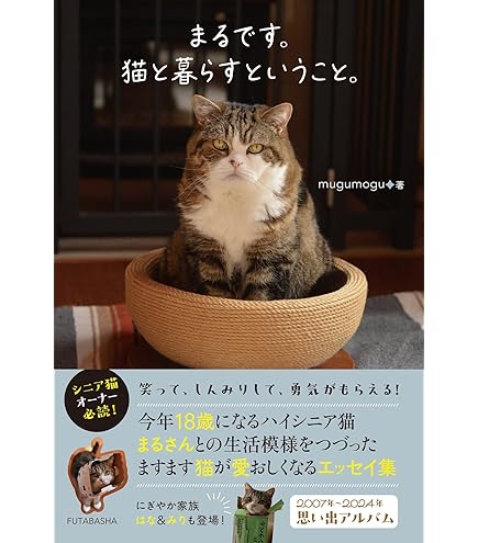 Amazon | 2026年カレンダー まるちゃん(卓上) | カレンダー | 文房具