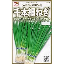 Amazon | 日光種苗 ネギ 千本細ねぎのタネ [1724] | 野菜