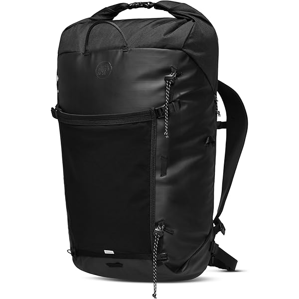 Amazon.co.jp: MAMMUT マムート エクセロンクーリエ 25L ブラック