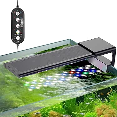Amazon.co.jp ほしい物ランキング: 水槽・アクアリウム で