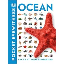 Ocean: Facts at Your Fingertips : DK: Amazon.sg: Books