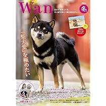 Wan 2026年 1月号＜冬号＞(特集：「柴犬愛」を極めたい)[雑誌