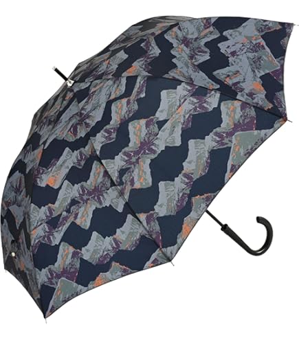 【美品】ALEXANDER MQUEEN ペイズリー柄 傘　レディース 美品】ALEXANDER MQUEEN ペイズリー柄 傘 レディース