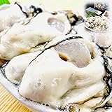 kakiya 三陸産 大粒 生かき むき身 (1㎏ 500g×2 / 大粒/生食用) 宮城県産 生牡蠣 産直 (かき酢 たれ付き) かきフライ かき鍋 お取り寄せ ギフト