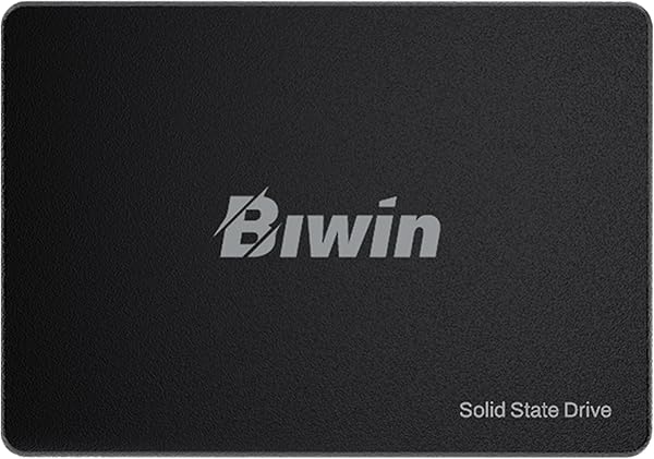 Biwin M100 256GB SSD 2.5" SATA III High Speed 550MB/s Internal SSD High Durability Low Power Consumption Shock Resistant PS4 Compatible Manufacturer 3-Year Warranty - 1