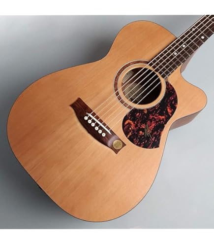 Amazon | Maton PERFORMER #7991 エレアコギター メイトン | エレアコ