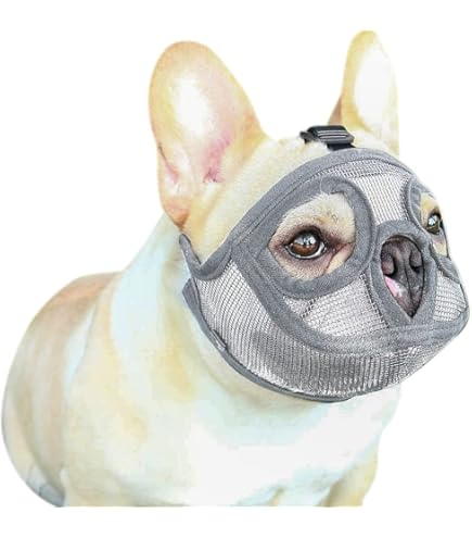 ハンドメイド パグ(?) フレンチブルドッグ(?) 鼻ペチャ犬 陶器製プレート Amazon | PETEMOO 短い鼻の犬、ブルドッグのための メッシュ犬の