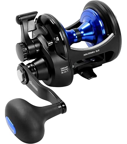 Avet Raptor Dual Drag Reel with Magnetic Cast Control, Black Sports, Fitness & Outdoors
