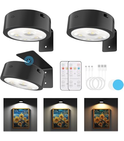 Amazon.co.jp: PHOPAGO ブラック抽象ウォールアート ジオメトリ ミニマ