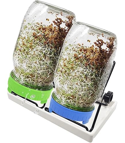 Amazon.co.jp: マイコン電気発芽器 発芽美人 HP-70 ライトグレー : DIY