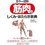 カラー図解　筋肉のしくみ・はたらき事典