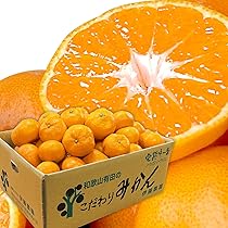 食べ切りサイズ　小粒有田みかん　家庭用　10Kg 送料込み みかん 10kg ご家庭用 有田みかん 和歌山産 送料無料 食品 : 花