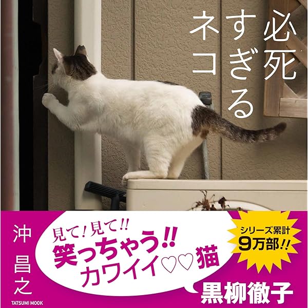ねこ休み展」スピンオフ公認! まるごとホイちゃん ファースト写真集