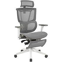 ⭐️新品⭐️FLEXISPOT オフィスチェア デスクチェア C7 人間工学 Amazon.co.jp: FLEXISPOT オフィスチェア デスクチェア C7 人間